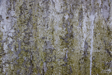 Fototapeta premium Green white Rough grunge vintage background distressed weathered dirty old texture