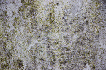 Green white Rough grunge vintage background distressed weathered dirty old texture