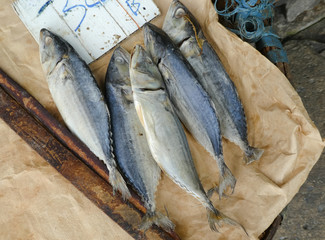 Thai mackerel fish steamed sole in market. Thai tuna fish steamed are the popular fish thai seafood.