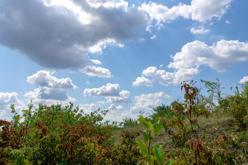 Beautiful cumulus clouds on a blue summer sky