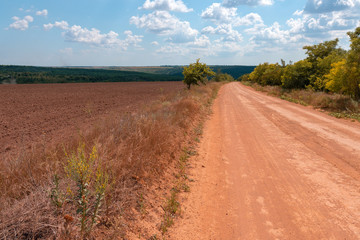 Fototapeta premium Landscape. Country road going to the horizon