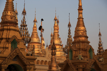 Fototapeta premium Shwedegon Pagode