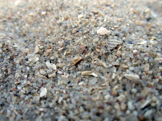 sand on the beach