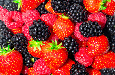 Selection of fresh berries