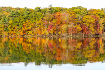 Beautiful maple forest by the lake, Saint-Bruno, Quebec, Canada