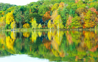 Beautiful maple forest by the lake, Saint-Bruno, Quebec, Canada