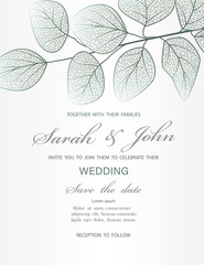 Wedding invitation with leaves eucalyptus,isolated on white. Vector 