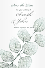 Wedding invitation with leaves eucalyptus,isolated on white. Vector 