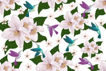 Beautiful  seamless pattern with jasmine flowers and hummingbird is painted in watercolor. Vector illustration. 