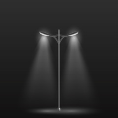 Double street light with white light