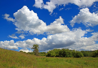 Green meadow and blue sky with cumulus clouds. Bright summer landscape in sunny day