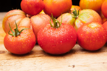 Foto de conjunto de tomates maduros, tomates sanos, saludables de buen sabor, preparados para comer, se pueden comer crudos o cocinados en salsas, mermeladas, sopas, sofritos, se pueden rellenar, se p