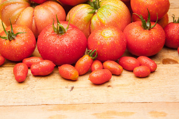 Naklejka na ściany i meble Foto de conjunto de tomates maduros, tomates sanos, saludables de buen sabor, preparados para comer, se pueden comer crudos o cocinados en salsas, mermeladas, sopas, sofritos, se pueden rellenar, se p