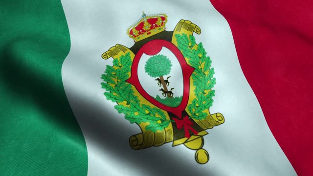 Flag of the Mexico State of Durango Seamless Looping Waving Animation