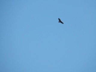 Falcon Coast in the blue sky.