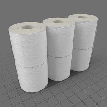 Toilet paper rolls 2