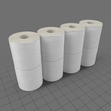 Toilet paper rolls 1