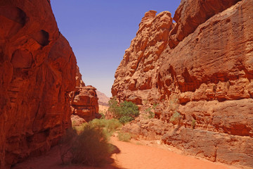 Canyon in Wadi Rum desert Jordan