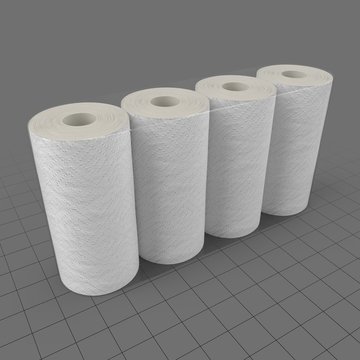 Paper towel rolls 1