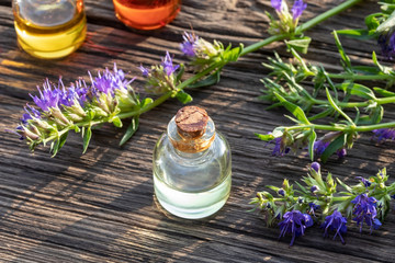 Bottles of hyssop essential oil with blooming hyssop