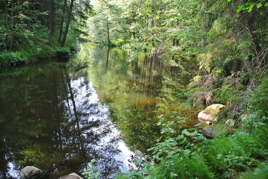 Taevaskoda Park