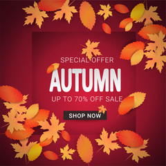 Autumn sale banner with leaves. Shopping sale, promo poster, card, wallpaper, flyer, discount, shop, market, special offer. Ad concept. Vector illustration