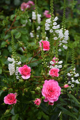 The photo shows a growing bouquet of bright flowers.