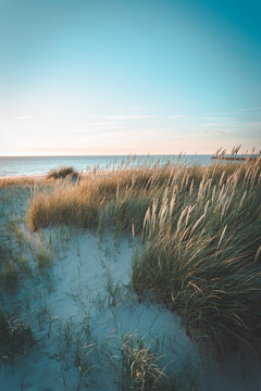 Dunes at sunset on bright blue days at the beach. Dune grass blowing in the summer breeze © Peter Nolten