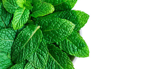 Peppermint leaf isolated on white background. Heap of Mint, Spearmint leaves, close up. Top view