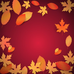 Autumn vector background with leaves for card, banner and poster template. Ad concept. Seasonal discount offer. Special offer and autumn sale. Vector illustration