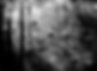 Black white blurred background. 