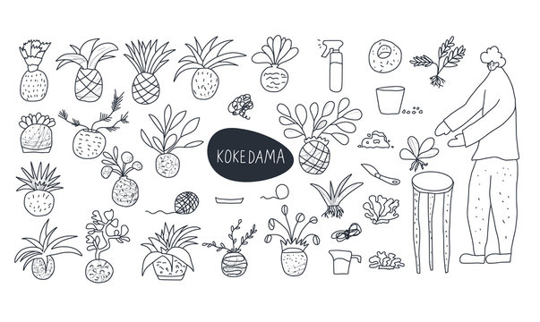Kokedama Images – Browse 688 Stock Photos, Vectors, and Video