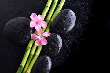 Obraz na płótnie Canvas pink flower with black stones and bamboo grove on Wet black background. Spa Concept