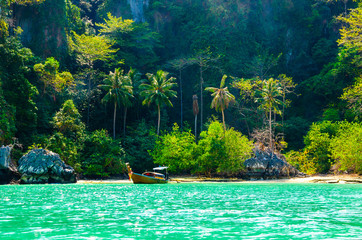 isola tropicale palme barche