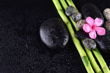 Fototapeta na wymiar pink flower with black stones and bamboo grove on Wet black background. Spa Concept