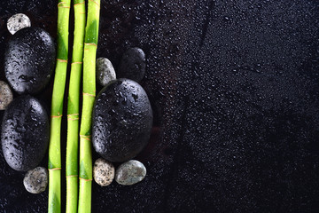 Fototapeta na wymiar Bamboo grove with black zen stone on the black background. Spa concept