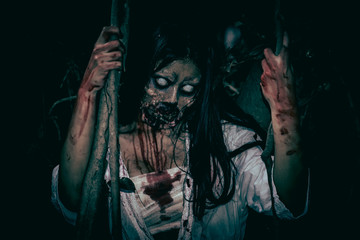 Portrait of asian woman make up ghost face with blood,Horror scene,Scary background,Halloween...