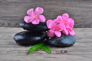 Flower with zen stone on wood background