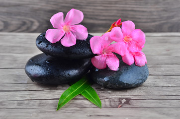 Fototapeta na wymiar Flower with zen stone on wood background