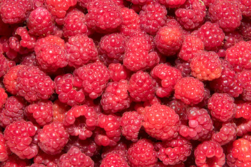 raspberries background