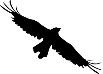 Silhouette of bird of prey vector design circle element for websites, blogs, advertisements, flyers, posters, backgrounds, business cards, logo, and tri-folds	