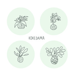 Fototapeta na wymiar Kokedama set. Doodle vector asian plant collection