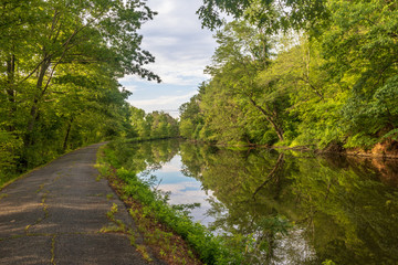 Fototapeta na wymiar Path alongside the canal in summer