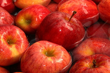 Red apples in a tub of water.