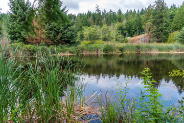 View at Mountain Lake with Dramatic Clouds in British Columbia, Canada