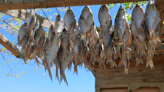 Sunny day in the fishing village. Fish is dried on the street near the house.