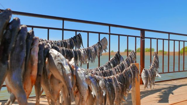 Sunny day in the fishing village. Fish is dried on the pier on the river bank near a small fishing village.