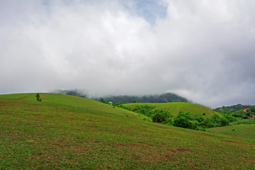 Beautiful morning view of Vagamon Meadows and sky