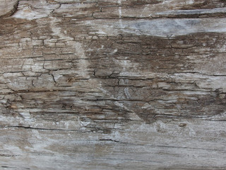 old wood texture background