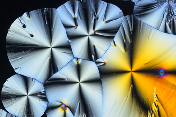 Colorful micro crystals in polarized light. Photo through a microscope.